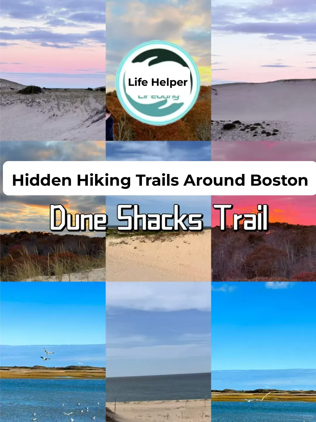 Hidden Gem Hiking Trails Near Boston!