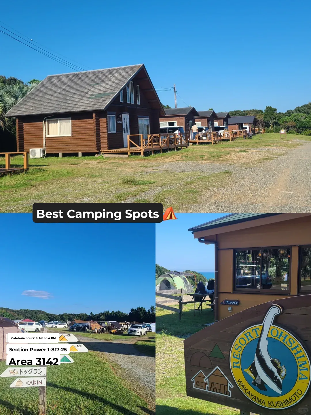 🇯🇵 Japan's Best Spot for Family Camping 🌼⛺️