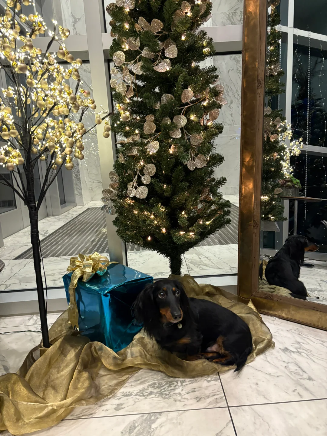 Looking for Chinese Bakeries in St. Louis