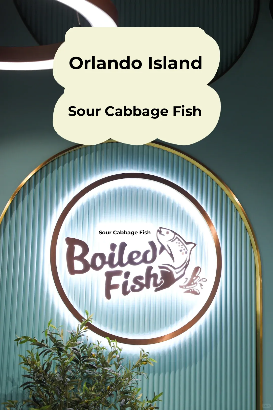 🇺🇸 Orlando Food Exploration | Boiled Fish with Pickled Mustard Greens (Suan Cai Yu)