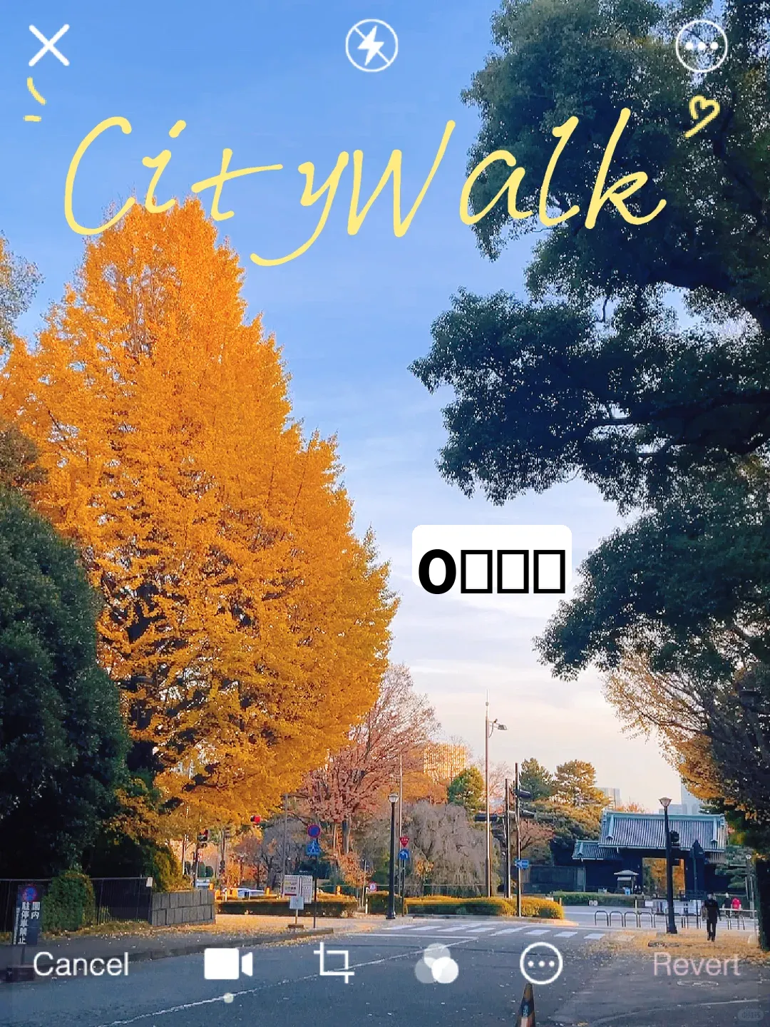 Weekend Stroll in Tokyo: Kudanshita | Ginkgo & Maple Leaves | Kitanomaru Park