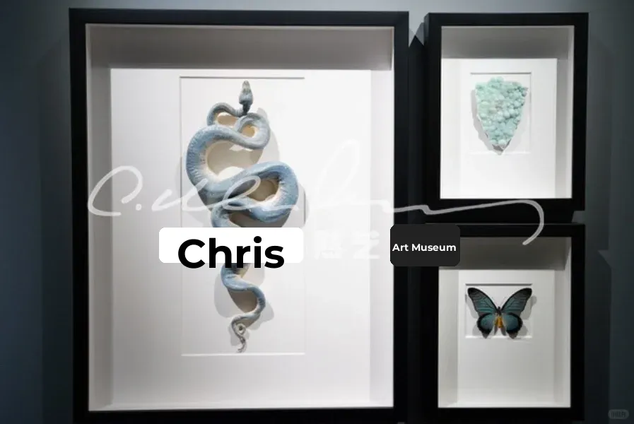 Chris Nature Art Gallery | Monochrome Series