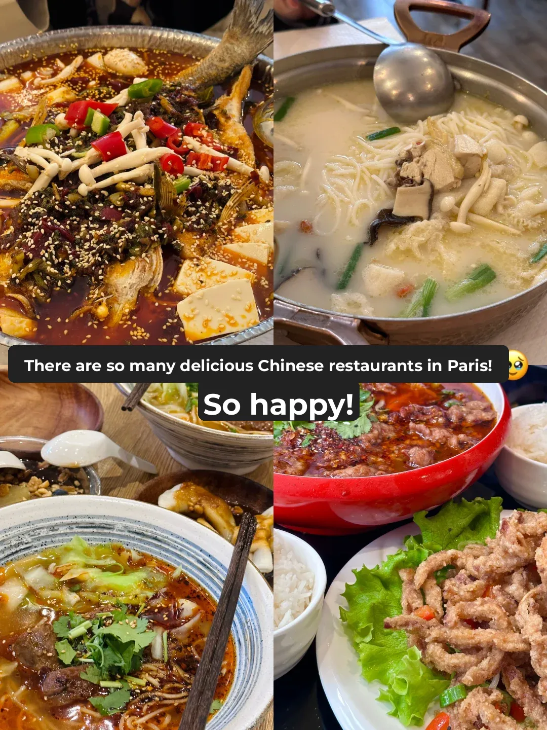 In Paris, it's all about one thing—savor Chinese cuisine! 🥢🍚