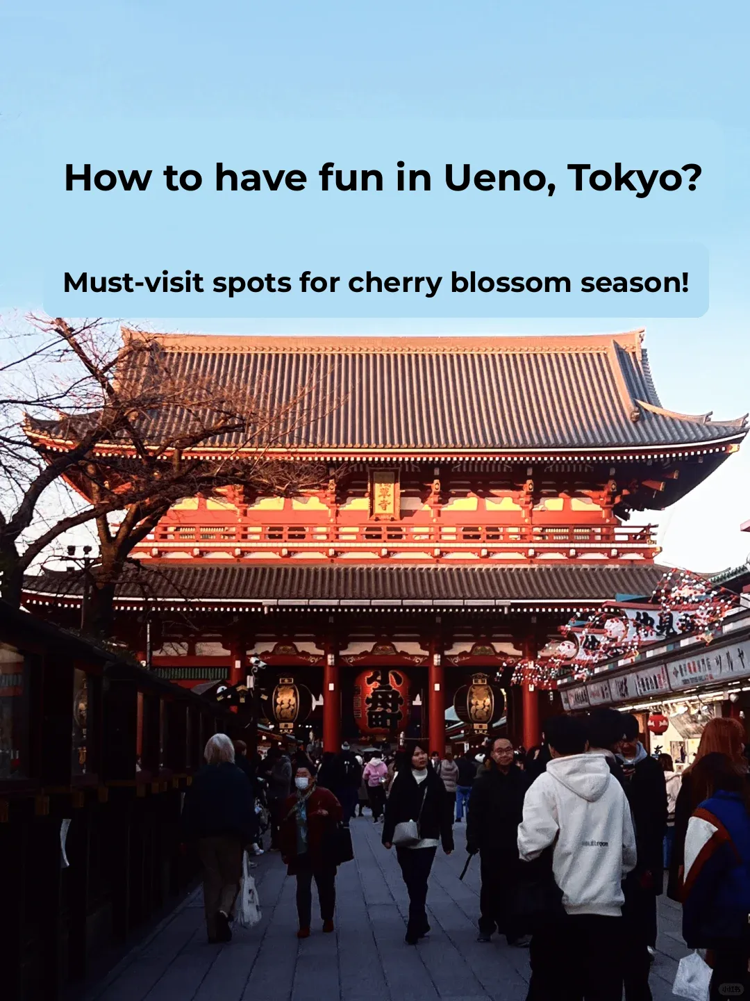 Spring Travel Diary | Skipping Ueno in Tokyo? You're Crazy!!