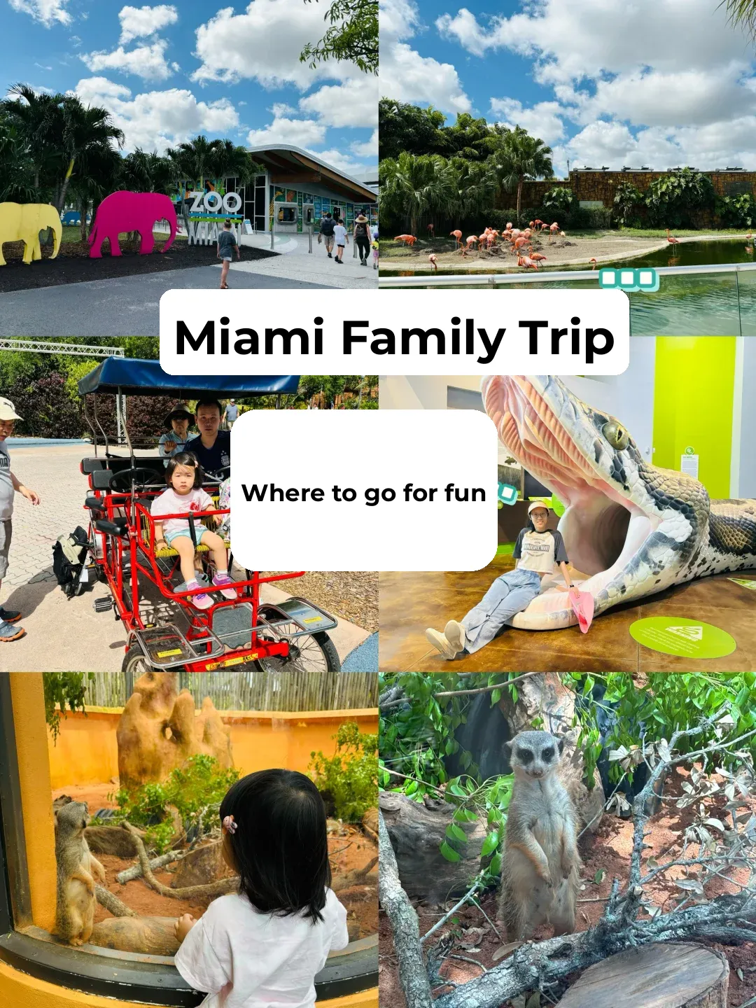 Family Fun in Miami: 5 Days, 4 Nights Ultimate Kid-Friendly Travel Guide
