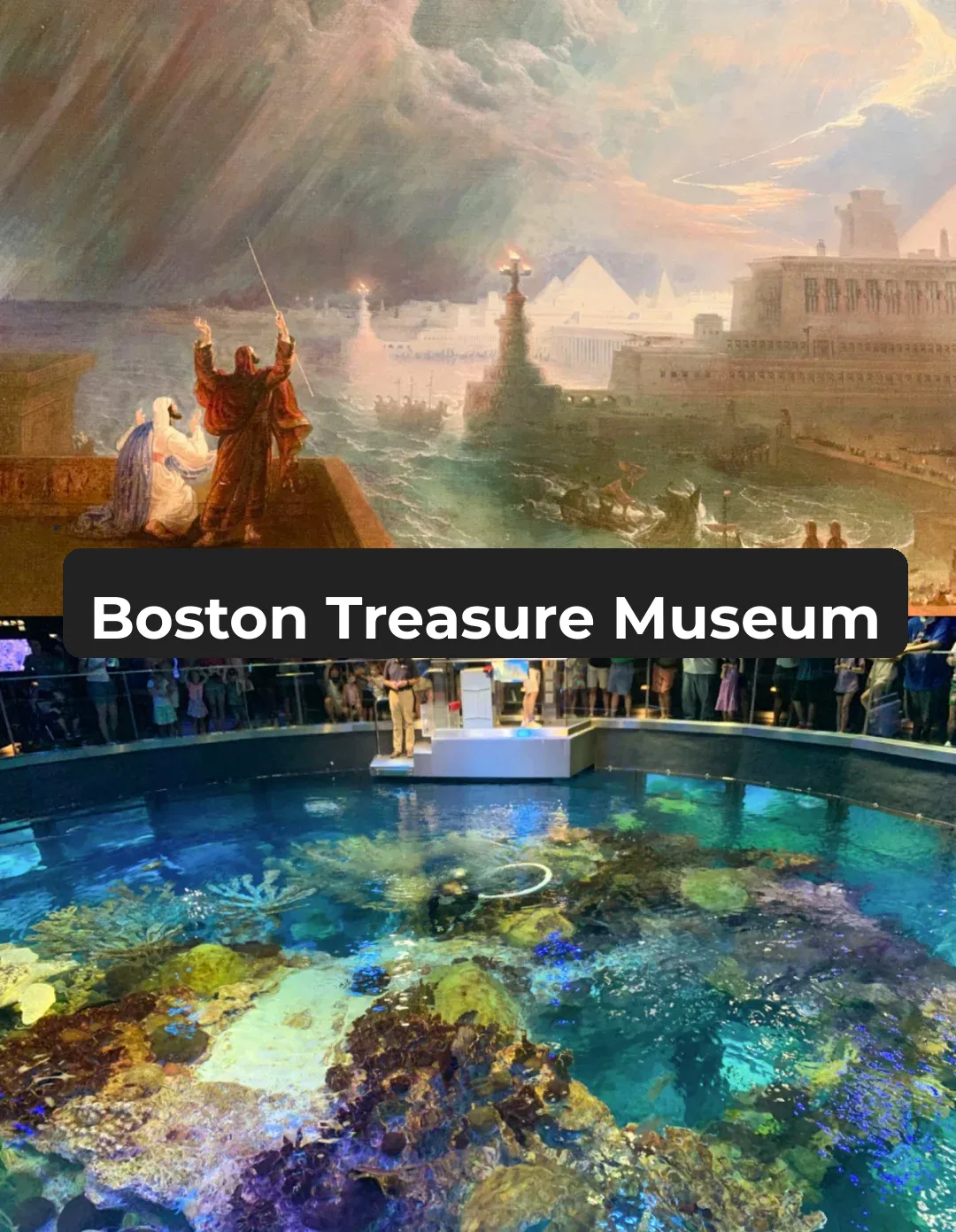 Must-Visit Museums in Boston – Which Ones Have You Missed?