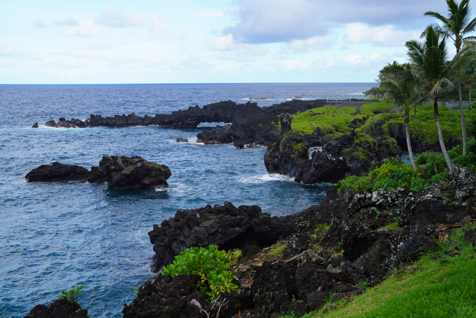 Maui, Hawaii Travel Guide: Essential Tips for Your Island Adventure