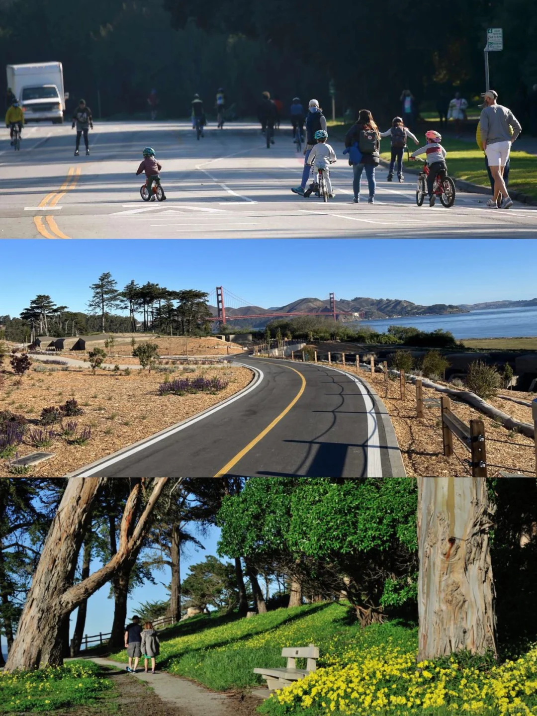 22 Best Bay Area Trails for Outdoor Family Fun 🍀 Cycling & Hiking - Part 1