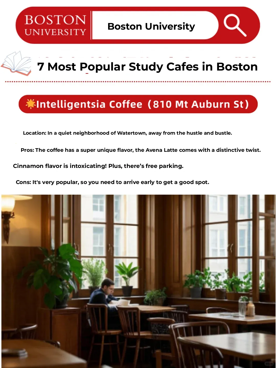 7 Must-Visit Boston Study Cafés Everyone's Asking About – Perfect for Focus!