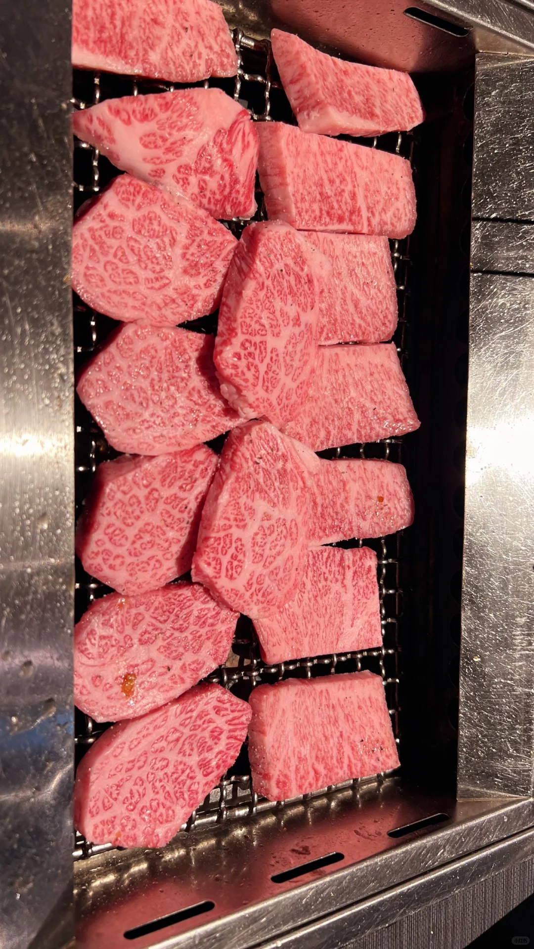 The most satisfying Wagyu beef meal I had in Tokyo's Shinjuku!