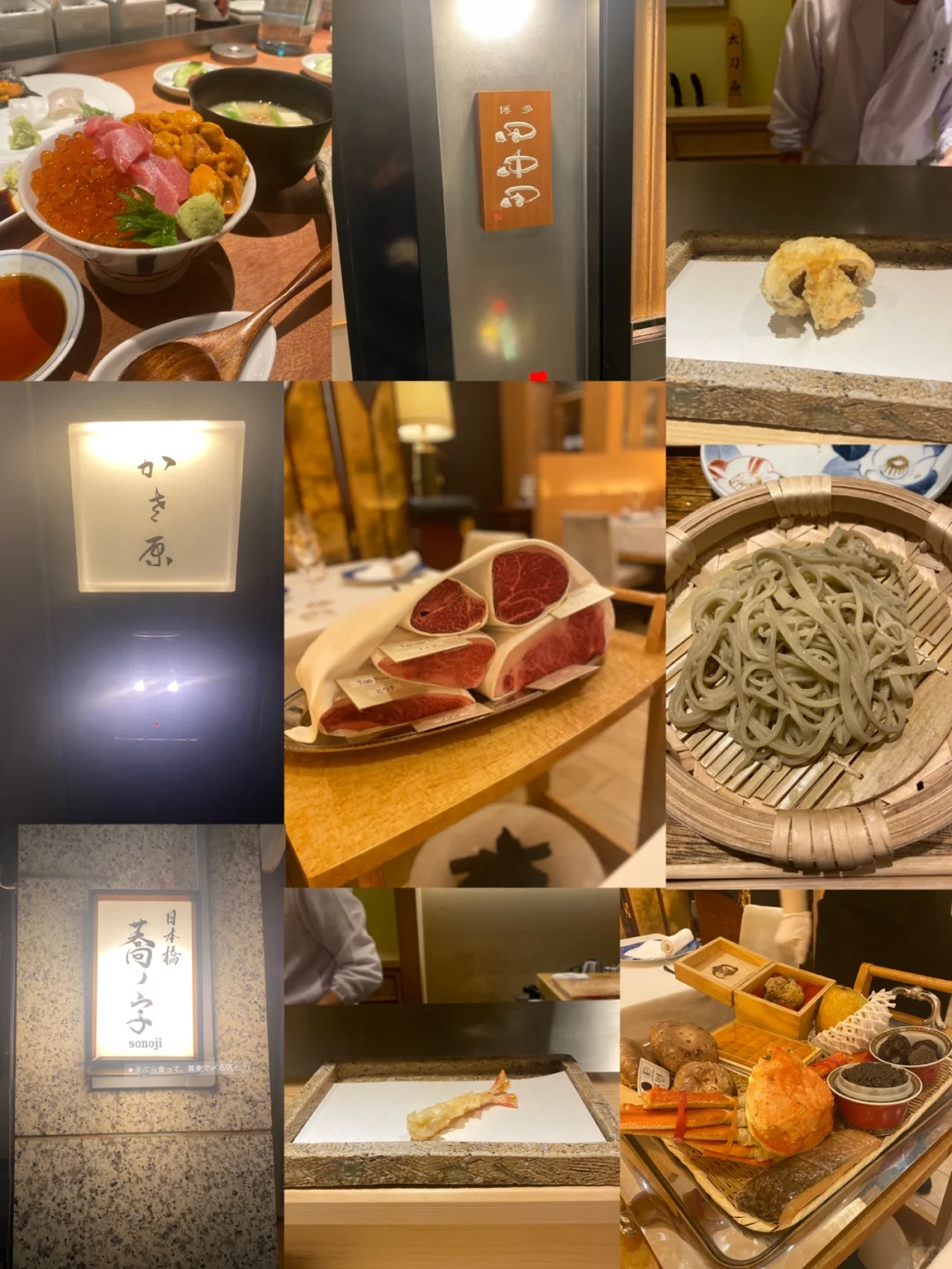 Introducing the Best Restaurants in Tokyo for 👶🏻