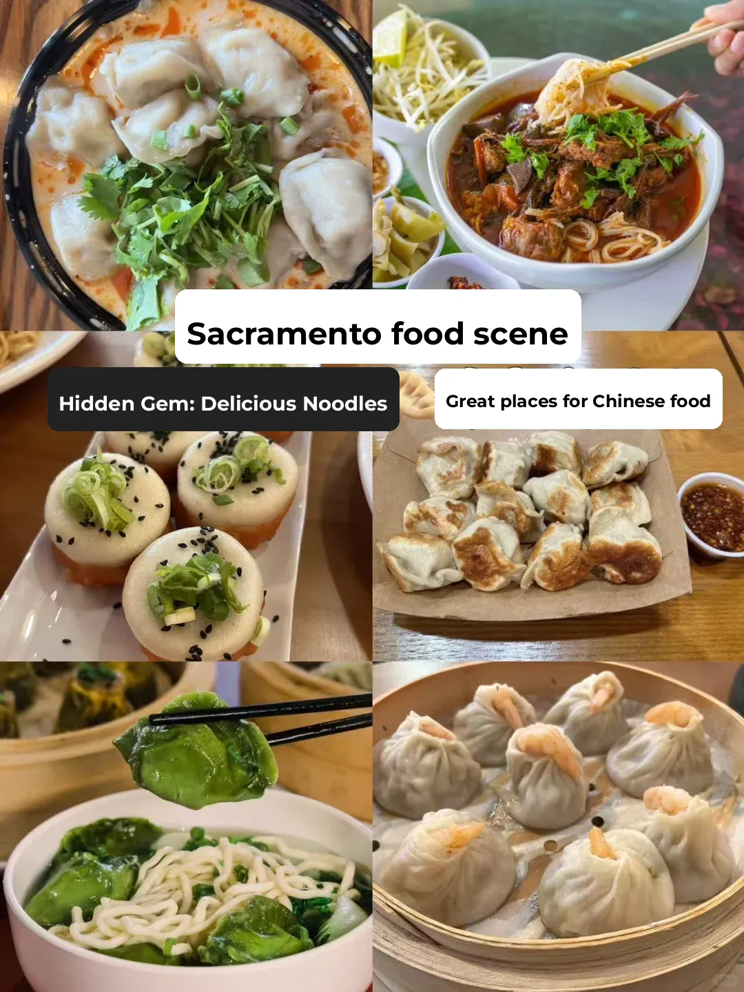 Hidden Gem Noodles 🥟 | A Collection of Dumplings, Rice Noodles, and Buns