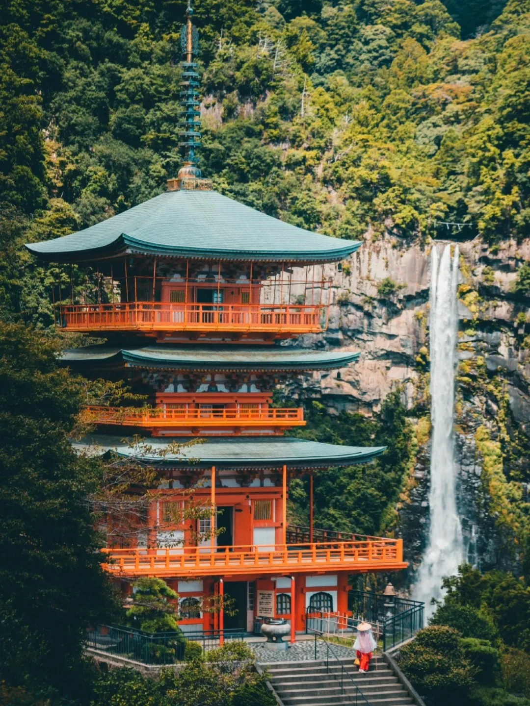 Japan Wakayama | Your First-Time Guide is All You Need! ‼️