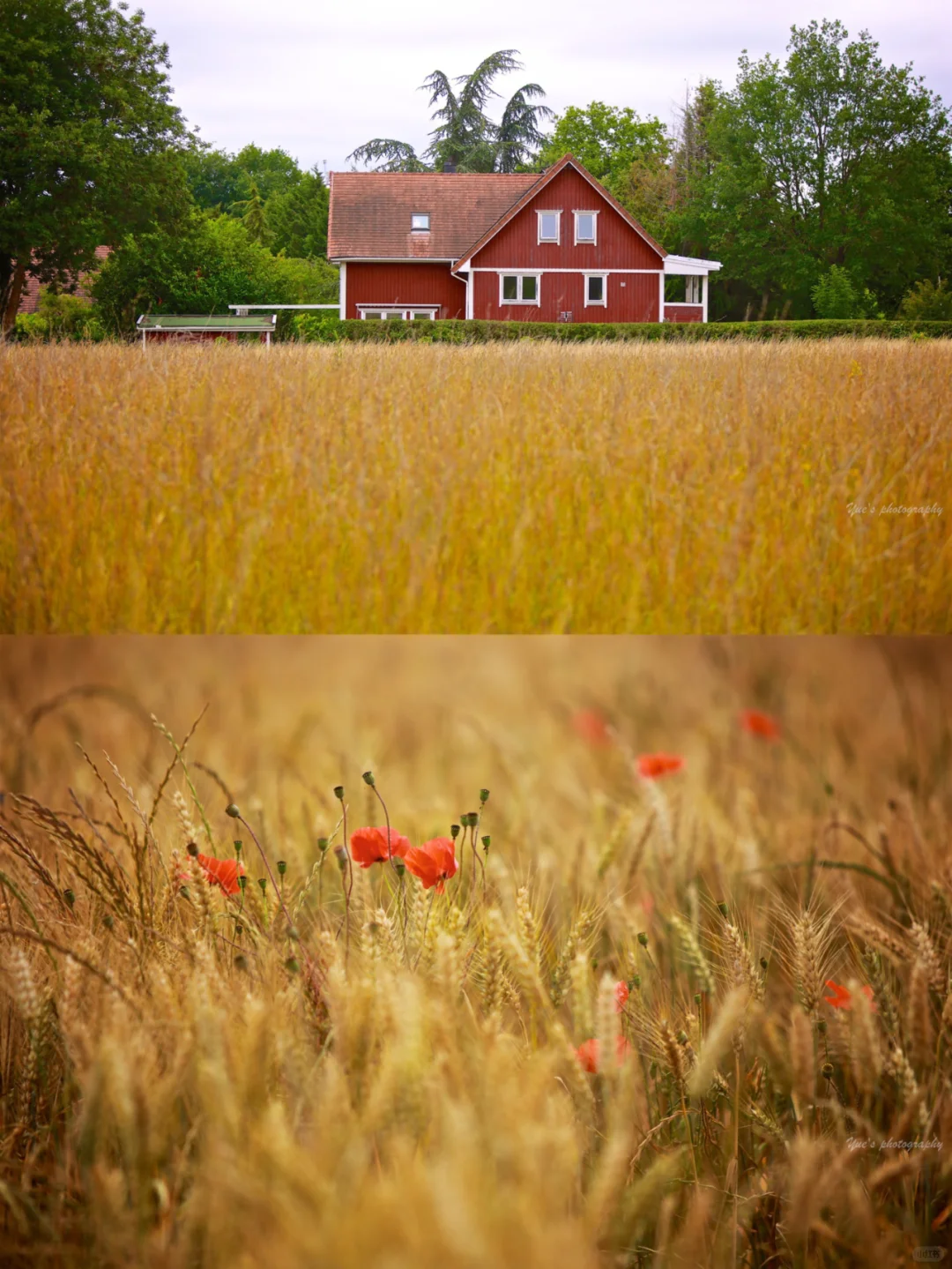Day Trip from Paris ❤️ The Breath-Taking Van Gogh Village of Auvers-sur-Oise!