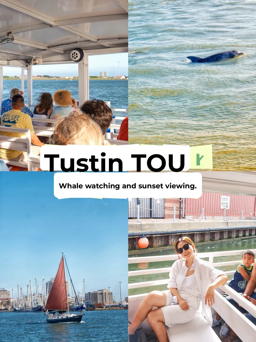Must-Visit in Houston! The Dolphin Tour Guarantees Sightings 🐬
