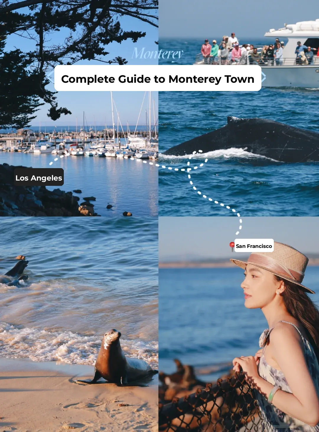 Monterey, California | Must-Visit Spot on the Pacific Coast Highway Road Trip