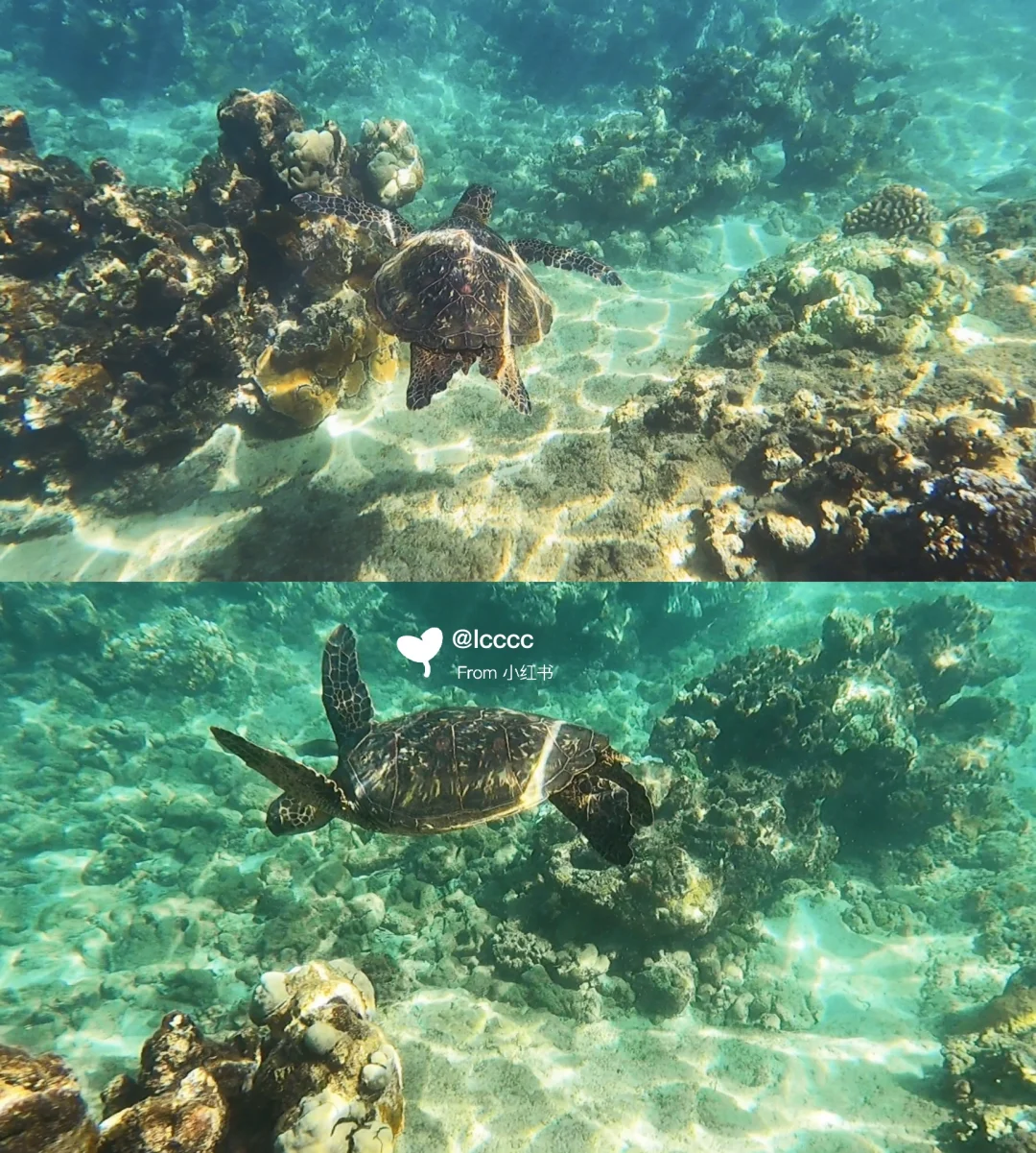 Day 4 in Maui, Hawaii: The Ultimate Perfect Day on Maui