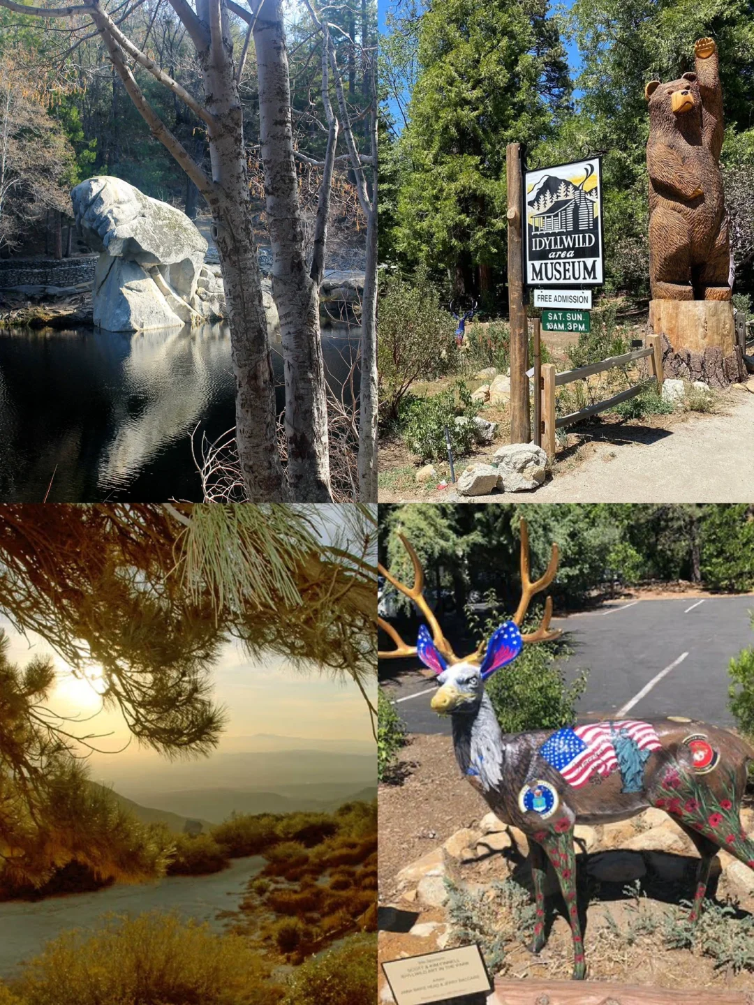 Hidden Gem in LA: Idyllwild ⛅️ 18 Must-Do Activities