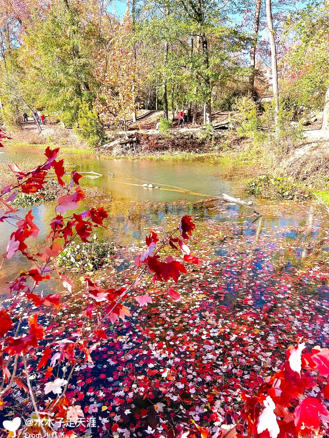 Georgia | Augusta: A Serendipitous Encounter with Romance