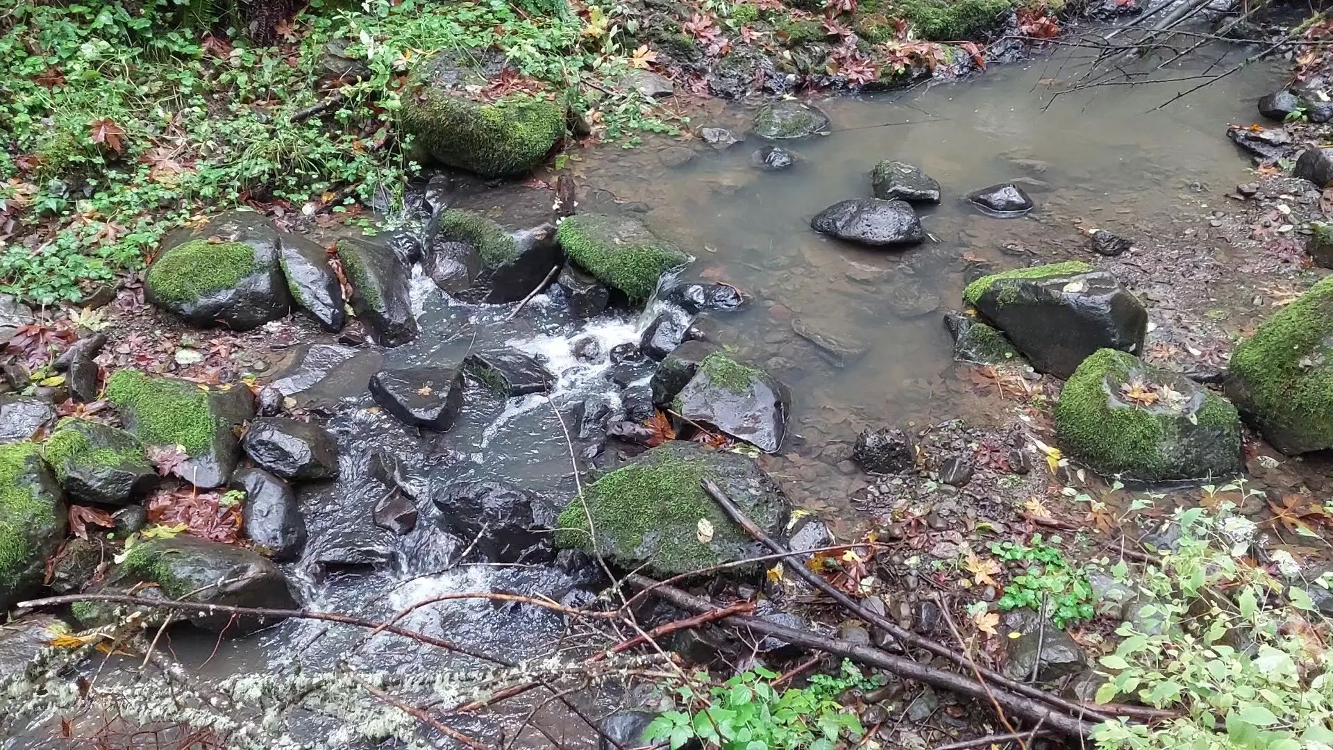 Stream by the Witch's Cottage