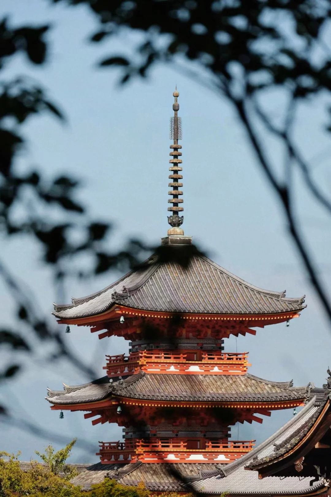 J's Kyoto 3-Day Itinerary 🇯🇵 | Detailed Route & Food Recommendations