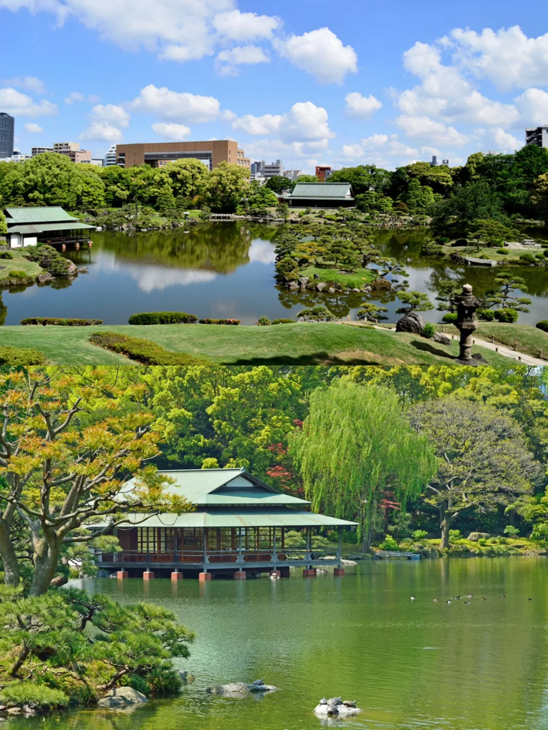 Edo-Era Exploration 🍃 Ultra-Niche Tokyo One-Day City Walk