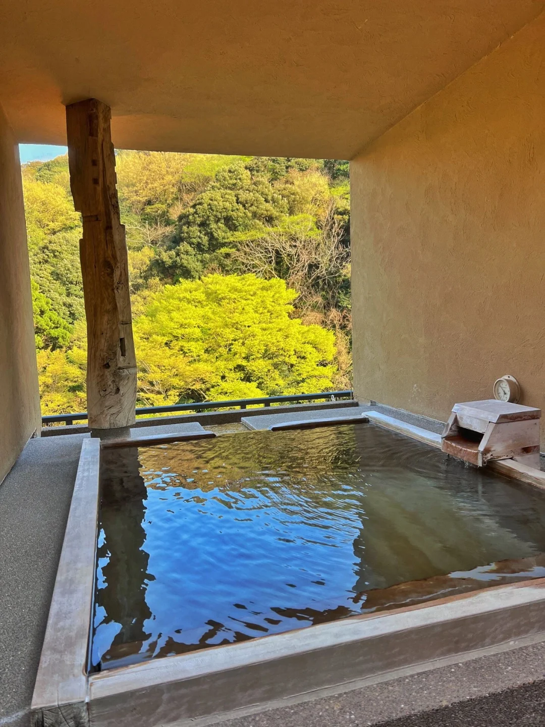 Visited Hakone Six Times! I Always Stay at This Place! The Hot Springs Are Super Duper Relaxing!