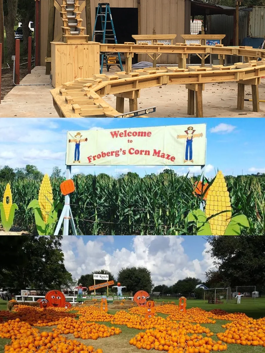 8 Fruit-Picking Farms in Houston to Visit🎈Perfect for a Chill Weekend✨