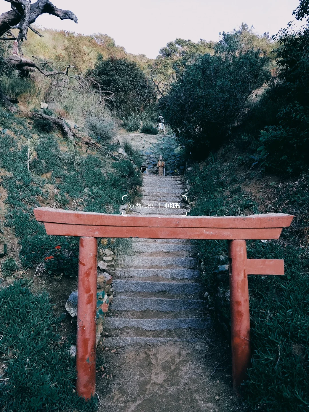LA｜Pretending to Be in 🇯🇵 Beverly Hills' Ultra-Niche Mini Shrine Trail