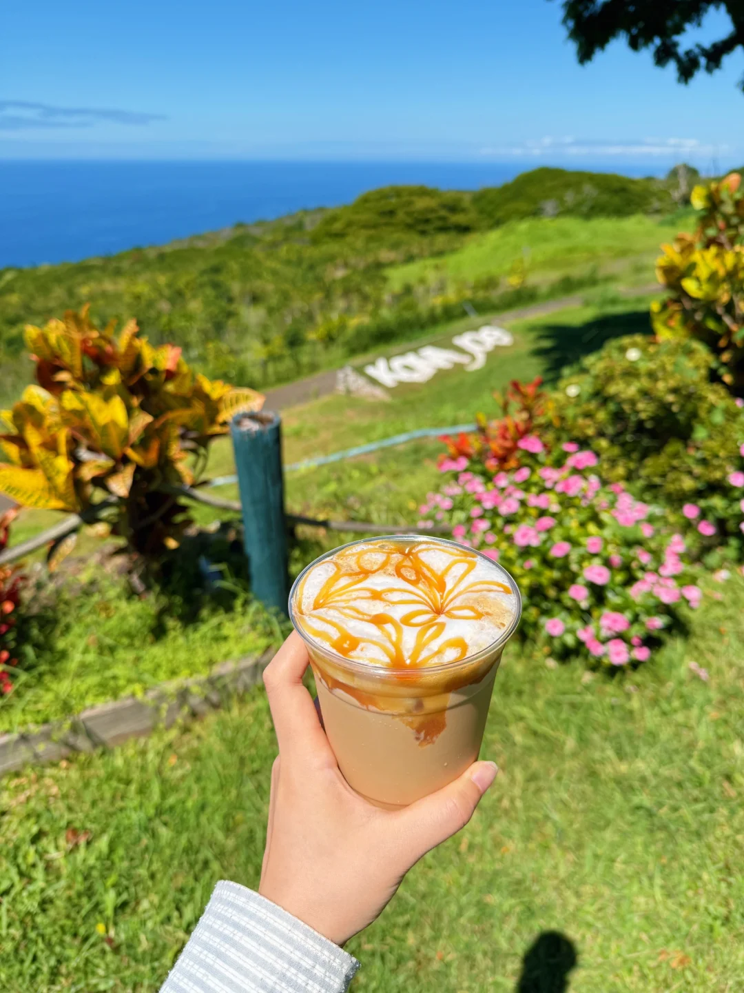 Hawaiian Coffee ☕️ I Found the Most Stunning Life Coffee on the Big Island! ‼️