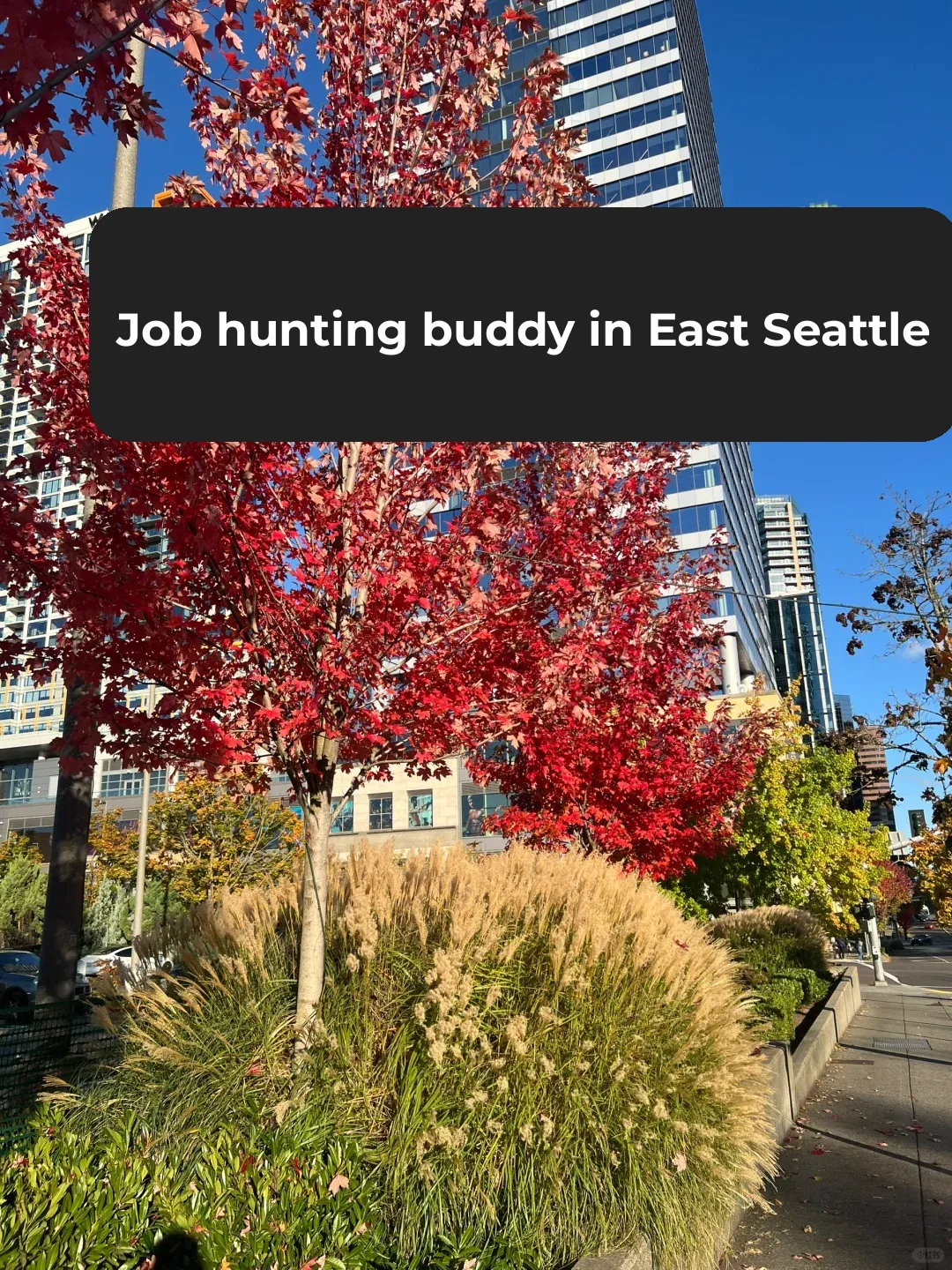 Partner Up for WFH Jobs in East Seattle