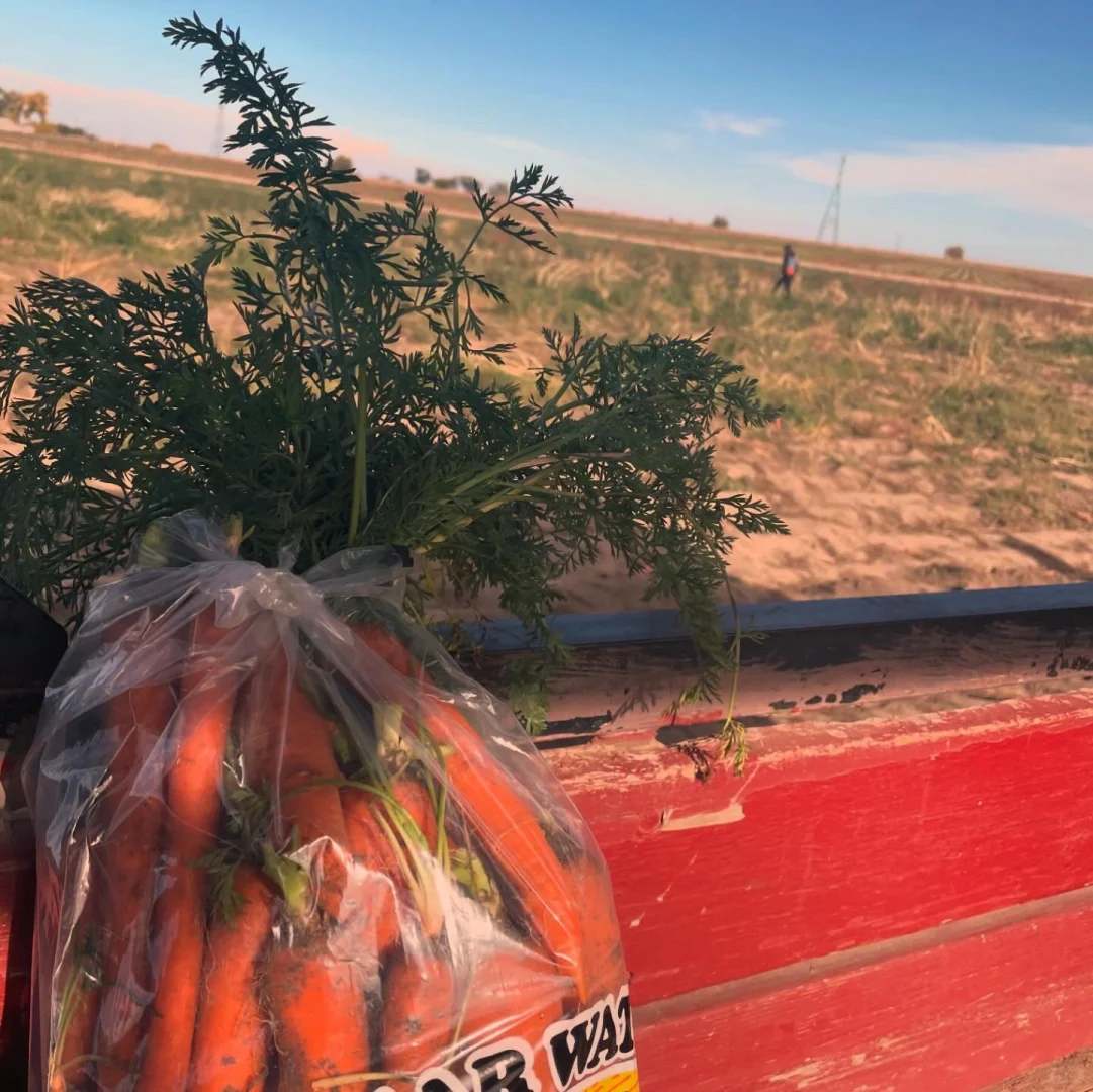 👩‍🌾 Farm Veggie Picking Experience +1