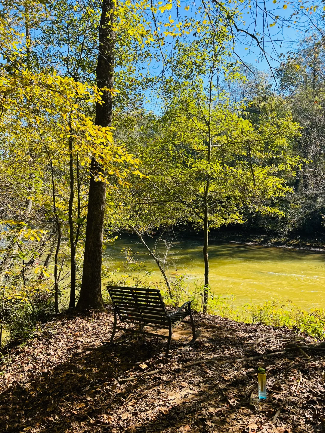 Bowmans Island Trail Hike | Atlanta