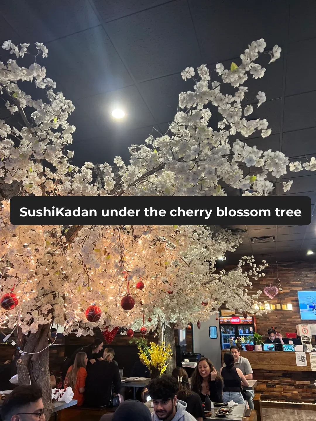 Dallas Food Adventure | Sushi Kadan