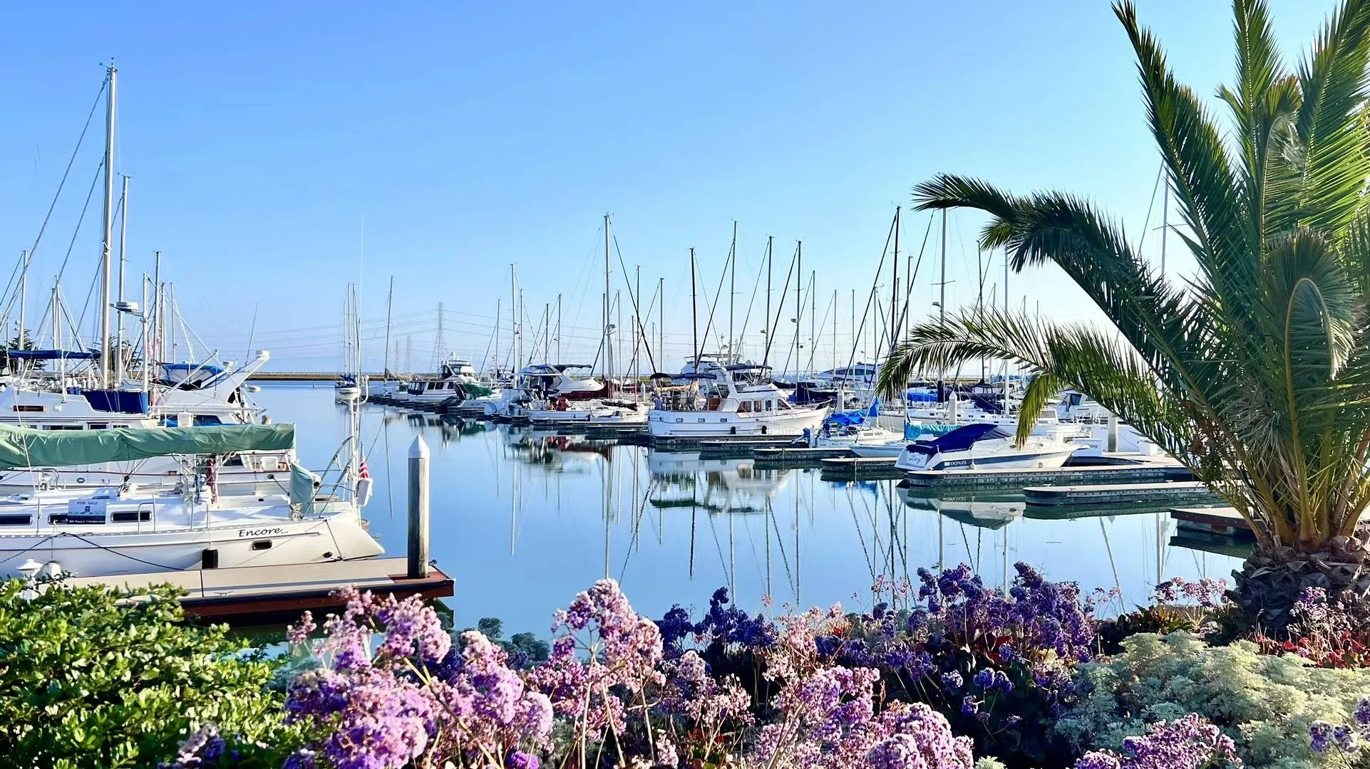 Hidden Gems of the Mid-Peninsula in the Bay Area