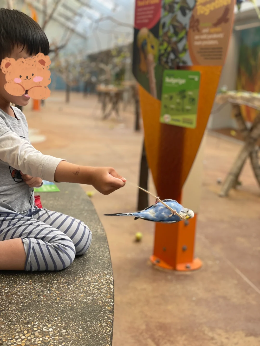 ❗️The Most Fun Spot at Brookfield Zoo is Actually Hidden in a Corner