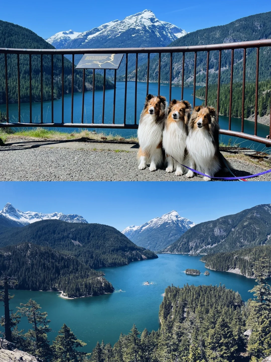 Seattle Travel Diaries 4｜Journey North to North Cascades National Park