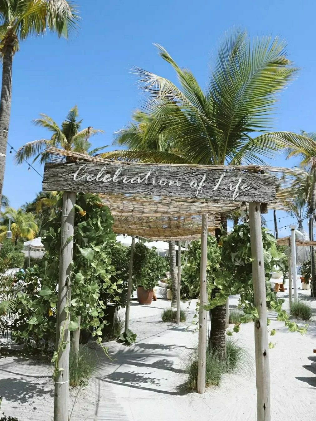 Miami Beachfront Dining Spot Check-In 🏝️ Highly Recommended, Super Photo-Worthy 📸