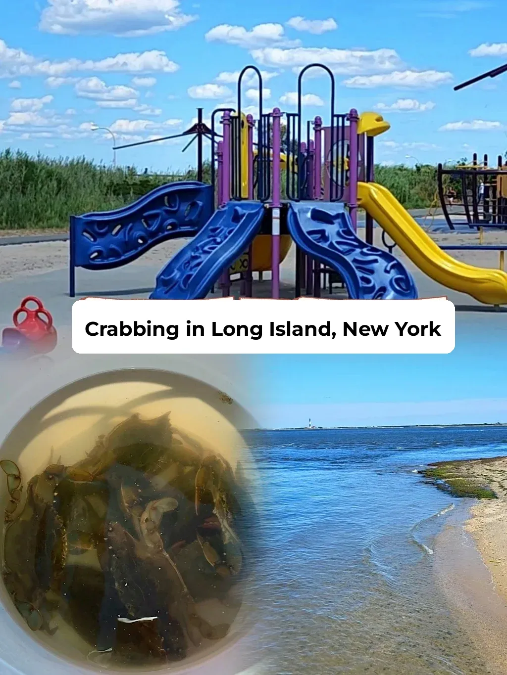 Crabbing Season on Long Island, NYC is Here! 🦀 Tips & Tricks