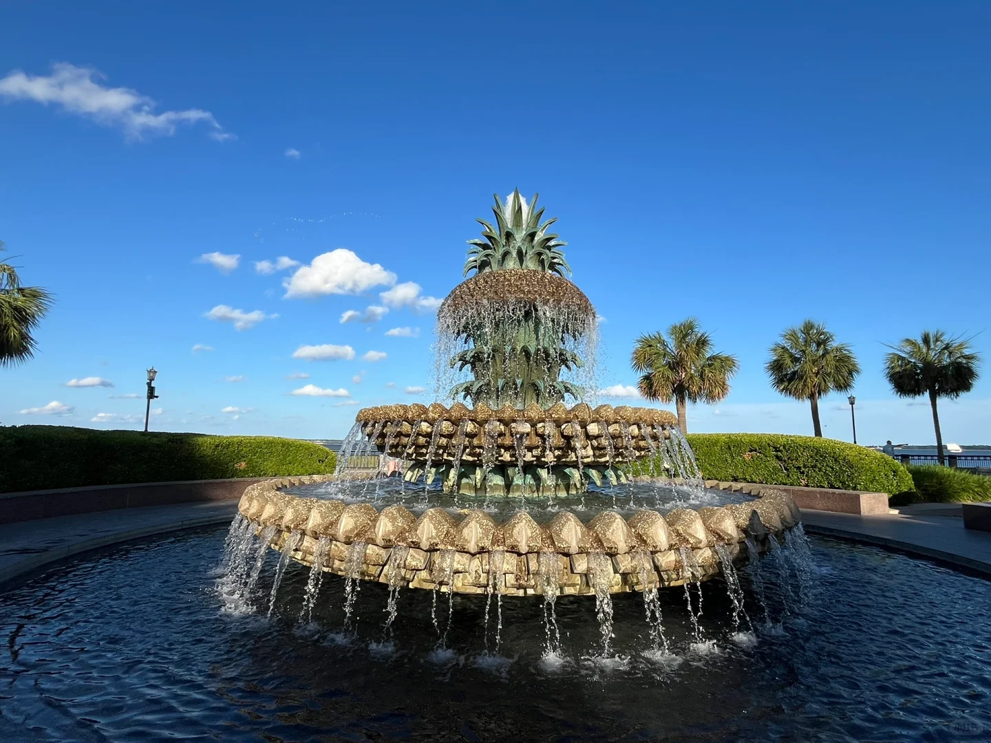 🍍Travel Tips for Charleston, South Carolina
