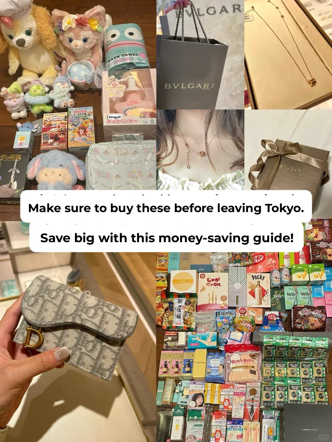 Japan Shopping List 🔖 Must Do Your Homework! Great Exchange Rates Will Make You Cry Tears of Joy