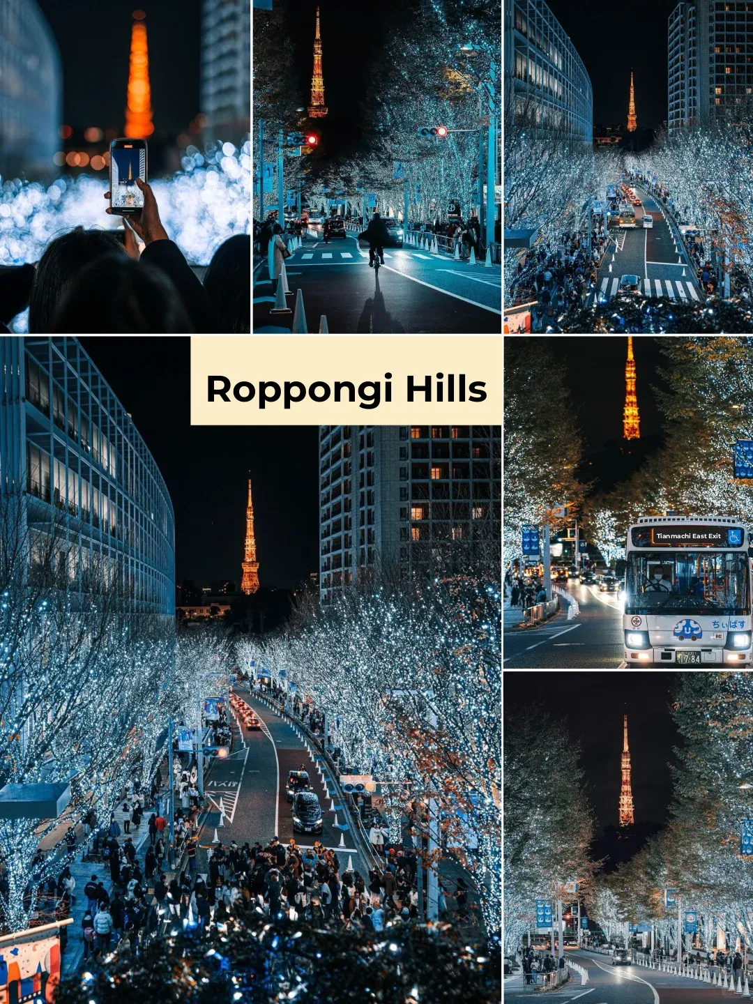 Tokyo 2024 Christmas 🎄 Light-Up Events | Super Detailed Guide ♥️