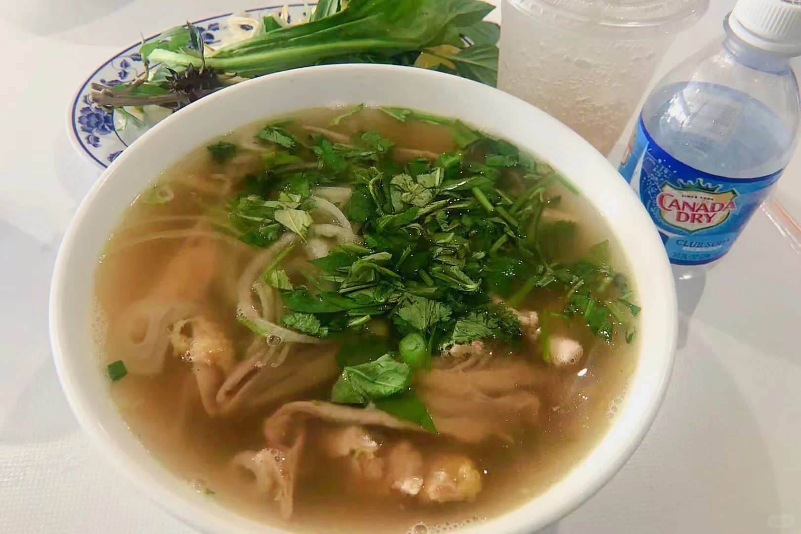 San Jose Food Exploration: Vietnamese Pho