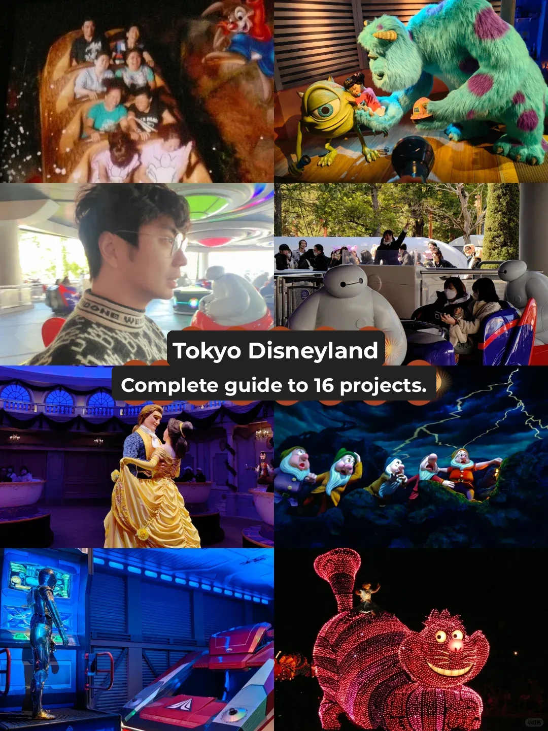 Tokyo Disney 16 Must-Do Rides Guide: Land Edition