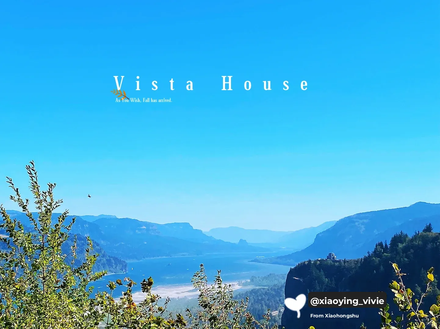 Portland | Scenic Views from the Mountain Top | A Day Healed by Breathtaking Beauty‼️