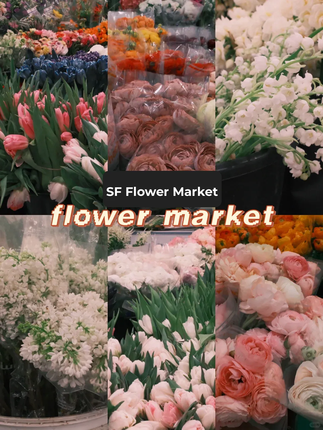 "Absolutely Stunning! The Morning Romance at SF Flower Market Healed My Soul. 🌿"