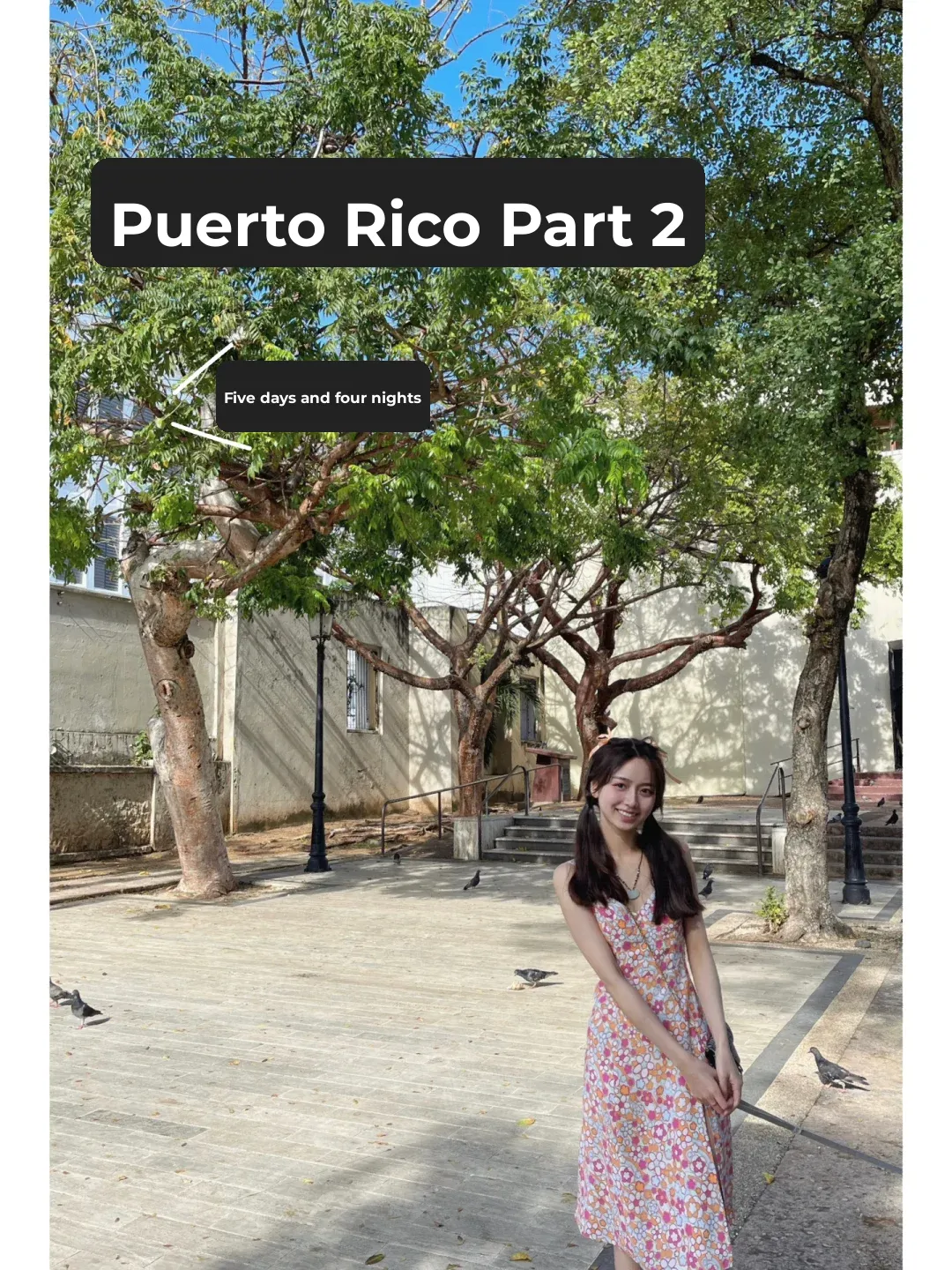 Traveling the East Coast | Puerto Rico 🇵🇷✈️