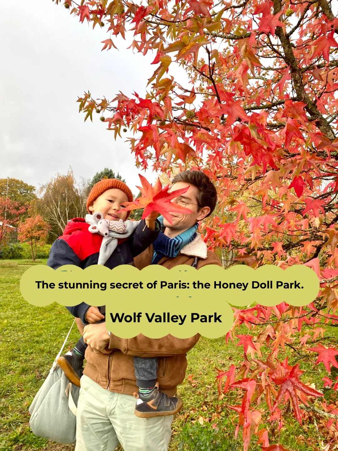 Wolf Valley Park 🍁 Ultimate Outdoor Spot for Autumn Family Fun in Paris