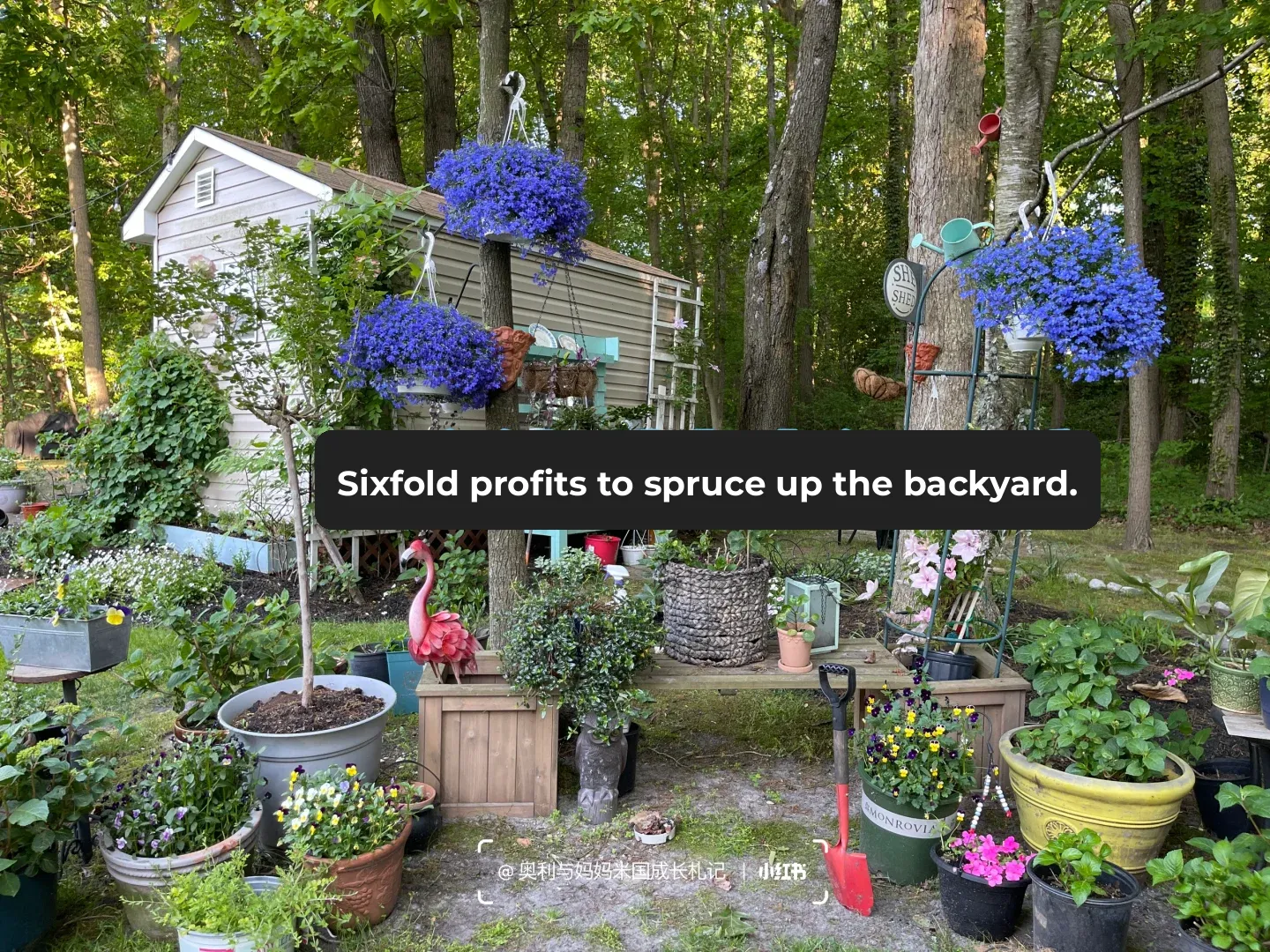 A Truly Fulfilling Day