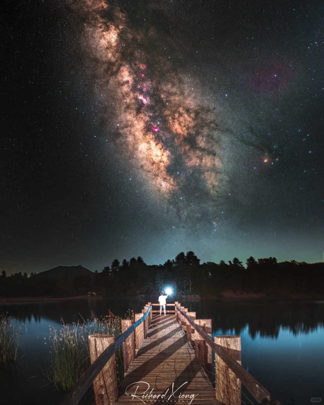 Under the Starry Sky 🌌 A Guide to Stargazing in San Diego